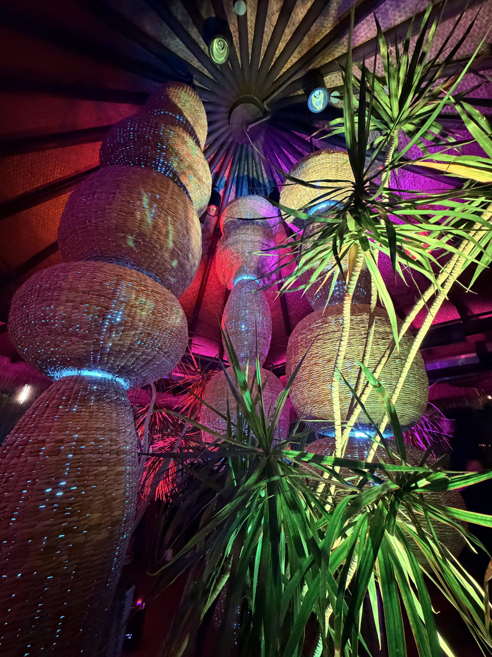 Lit trees among the woven rattan light columns on the patio at Casa de Onda in Costa Mesa