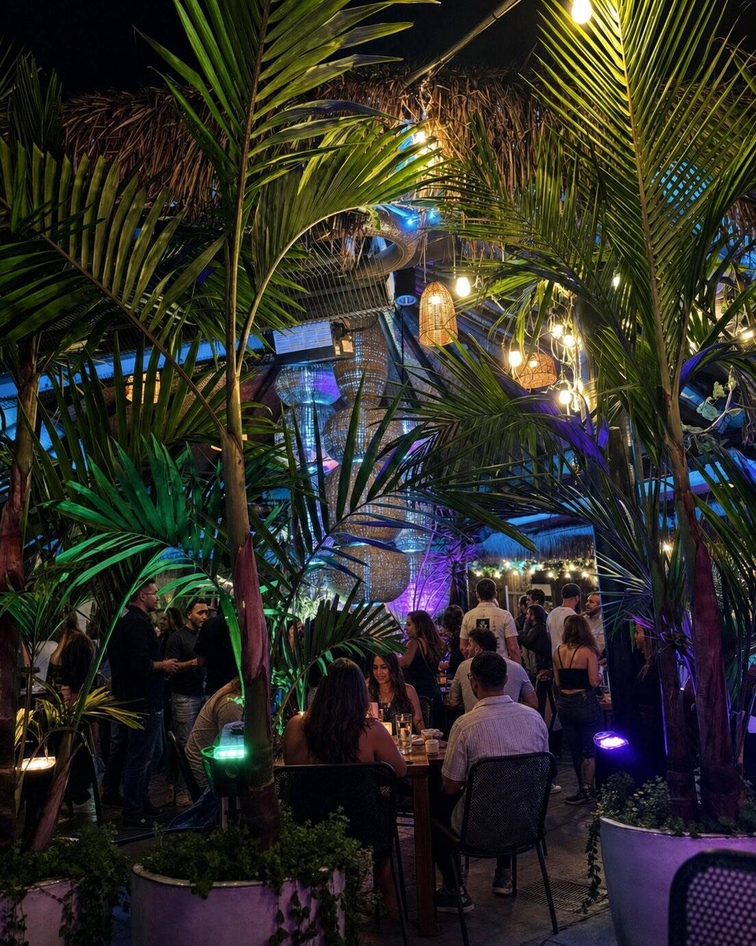 Weekend crowd under the lit palms on the Casa de Onda patio at night